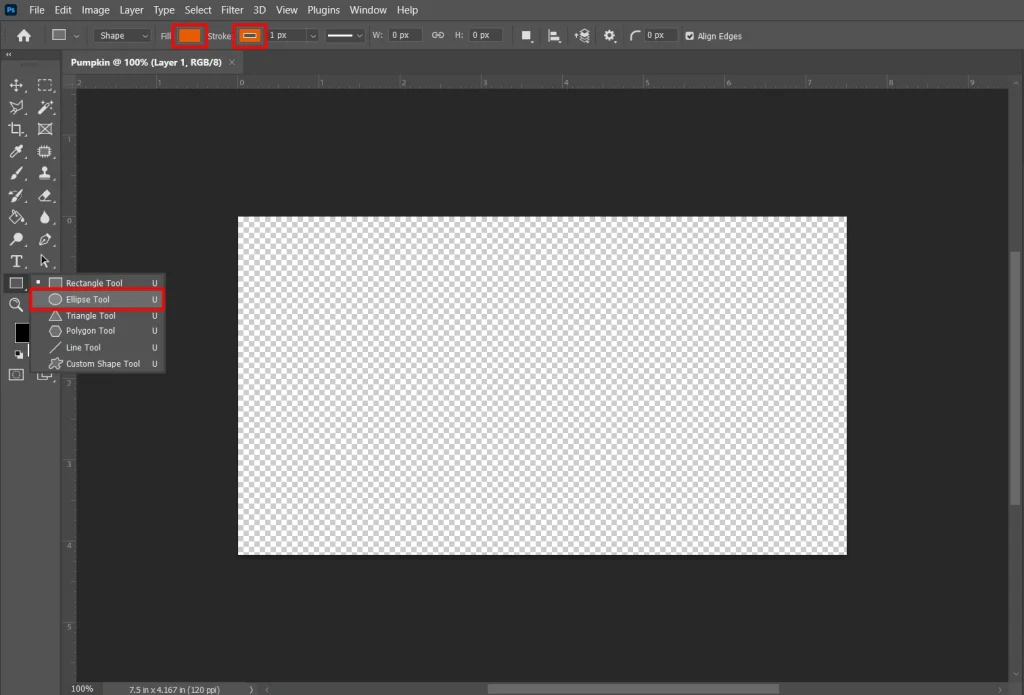 Drawing an ellipse in Photoshop for a pumpkin illustration.
