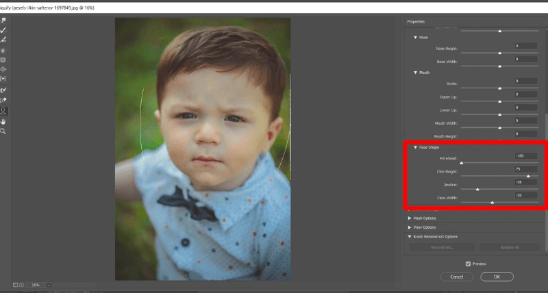 Face Shape Settings
