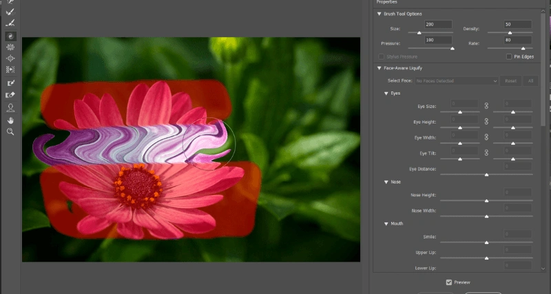 liquify freeze mask tool