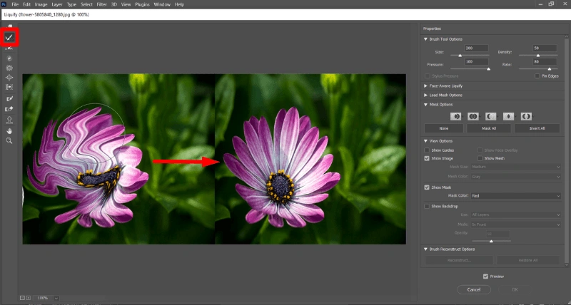 Reconstruct Tool in Liquify Photoshop
