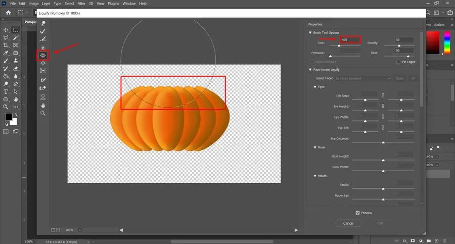 Photoshop Liquify Pucker Tool used to shrink and reshape image areas for creative photo editing and retouching
