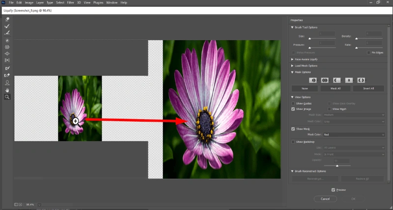 Zoom Tool