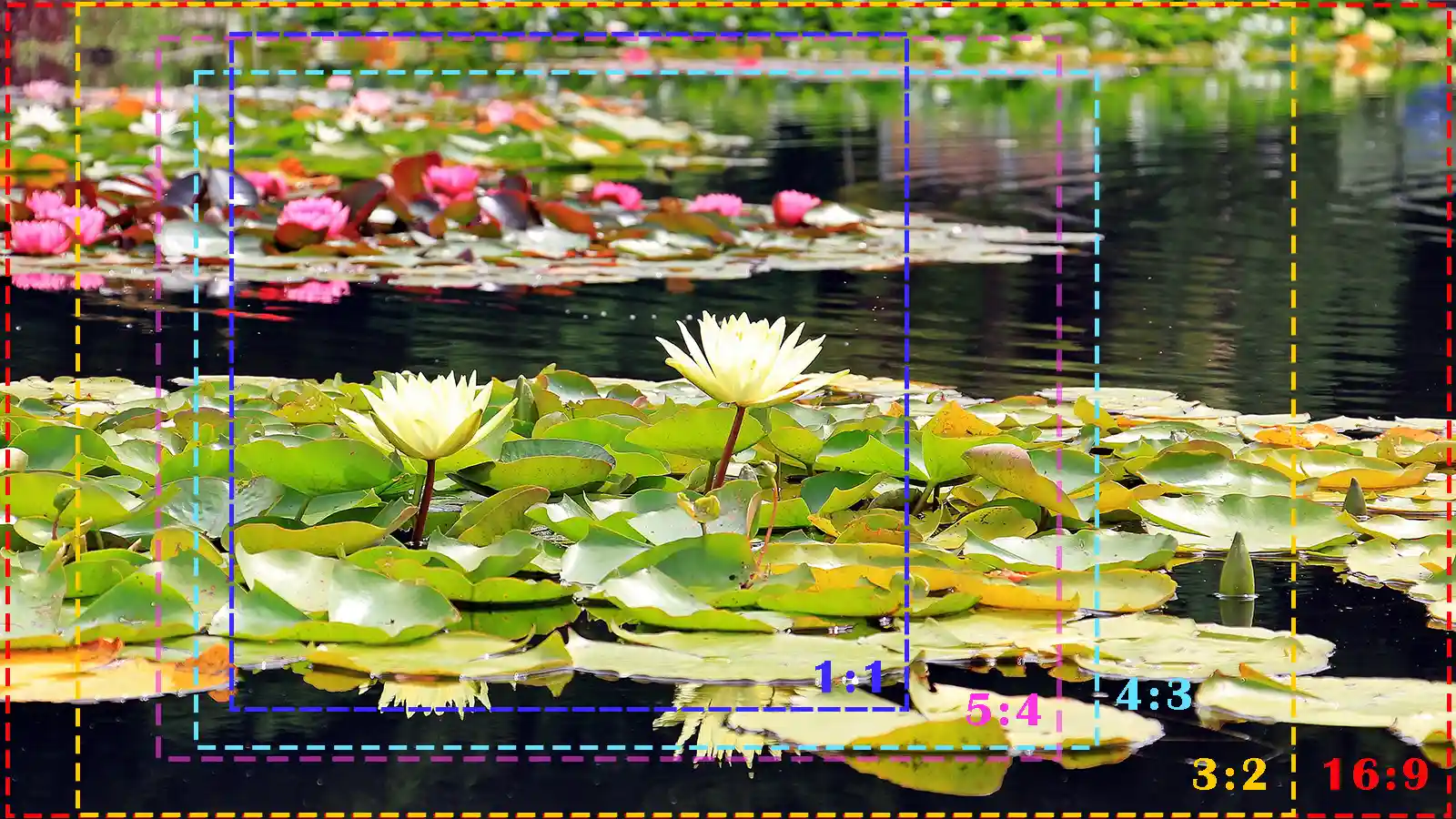 Aspect Ratio, Standard Photo Sizes