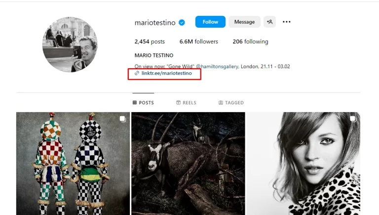 Photographer bio tip showing the importance of adding a clear call-to-action to encourage potential clients to contact or book photography services.