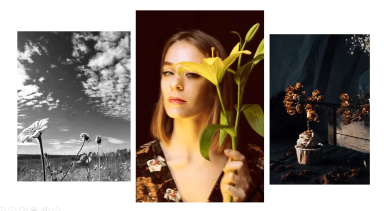 Collection of aesthetic photography styles showcasing different visual approaches, including minimalism, vintage, cinematic, dark and moody, and light airy photography.