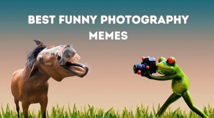 18 Best Funny Photography Memes You Need To See