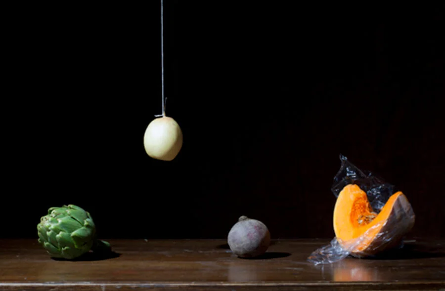 Krista Van Der Niet, Still Life Photographers