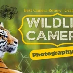 Best Camera for Wildlife Photography