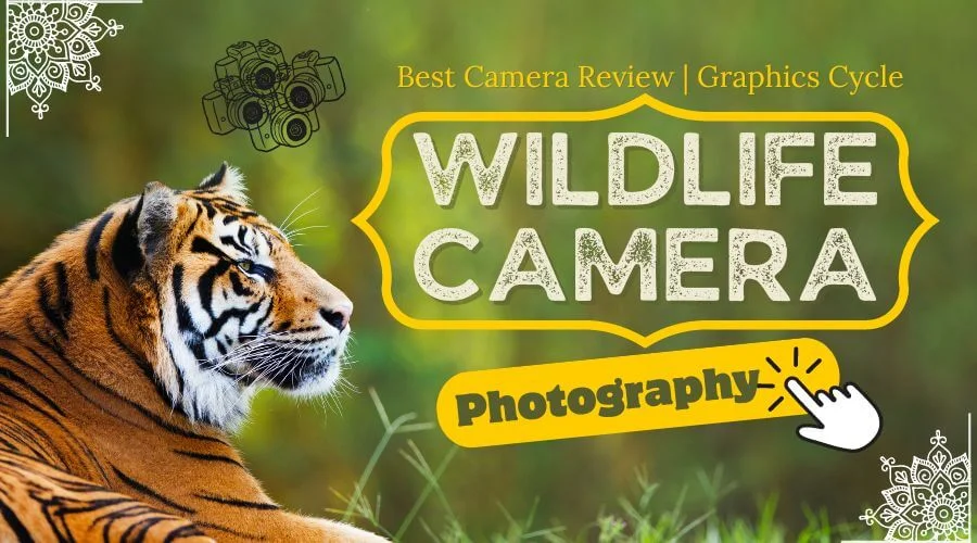 Best Camera for Wildlife Photography