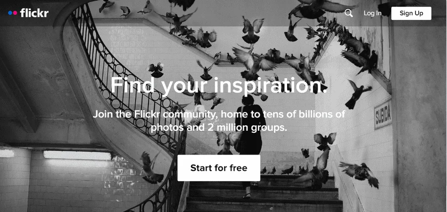 Flickr, Online Photo Storage