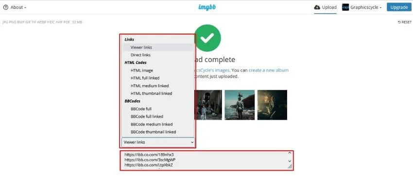 image link setting in imgbb