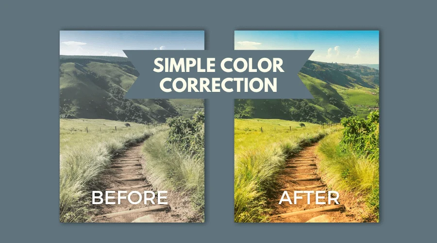 Image of a photo color correction sample