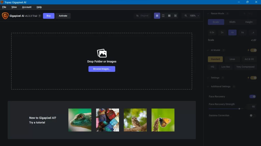 Interface of Topaz Gigapixel AI