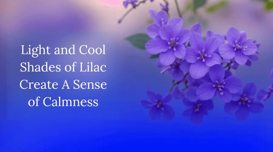Symbolism of Lilac