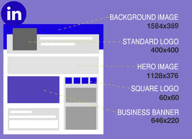 Standard Photo Sizes For LinkedIn