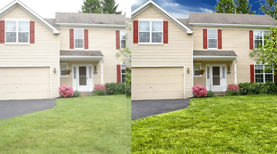 Real Estate Photo Editing