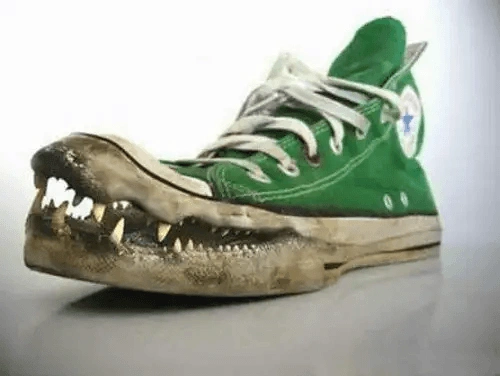Alligator Sneaker