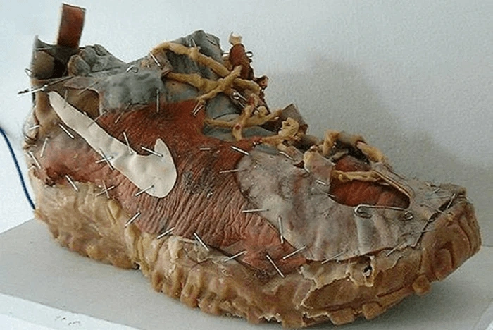 Animatronic Flesh Shoe