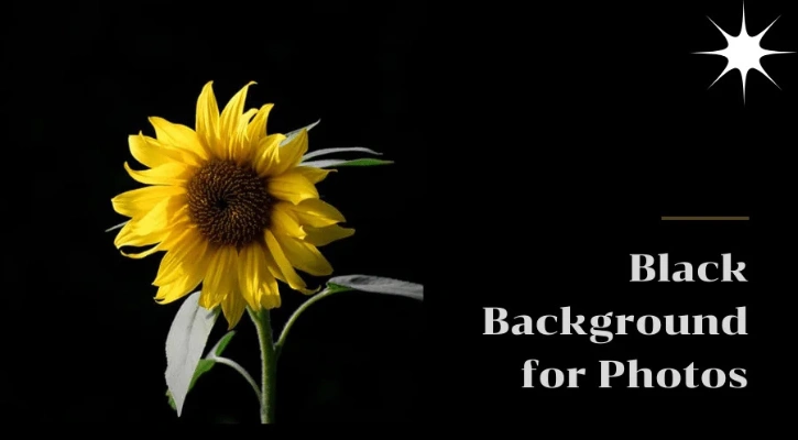 12 Ways to Make A Full Black Background for Photos