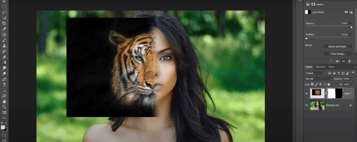 A portion of the tiger image with the surrounding area filled with black in Photoshop.