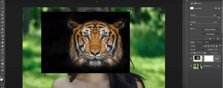 Tiger image placed over a model photo in separate Photoshop layers.