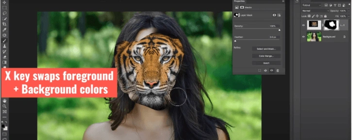 Swapping the foreground and background colors using the X key in Photoshop.